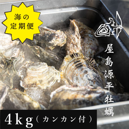 「海の定期便」屋島源平牡蠣　4kgセット(カンカン1個付)